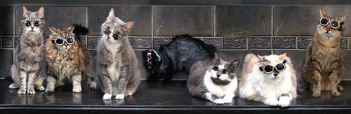 Test blog 8