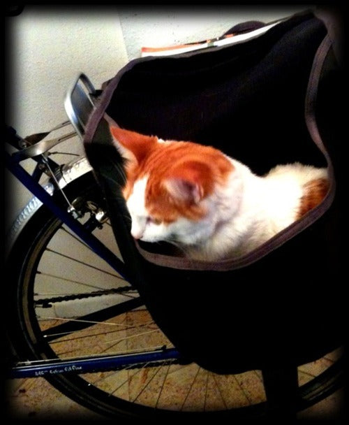 Test blog 10