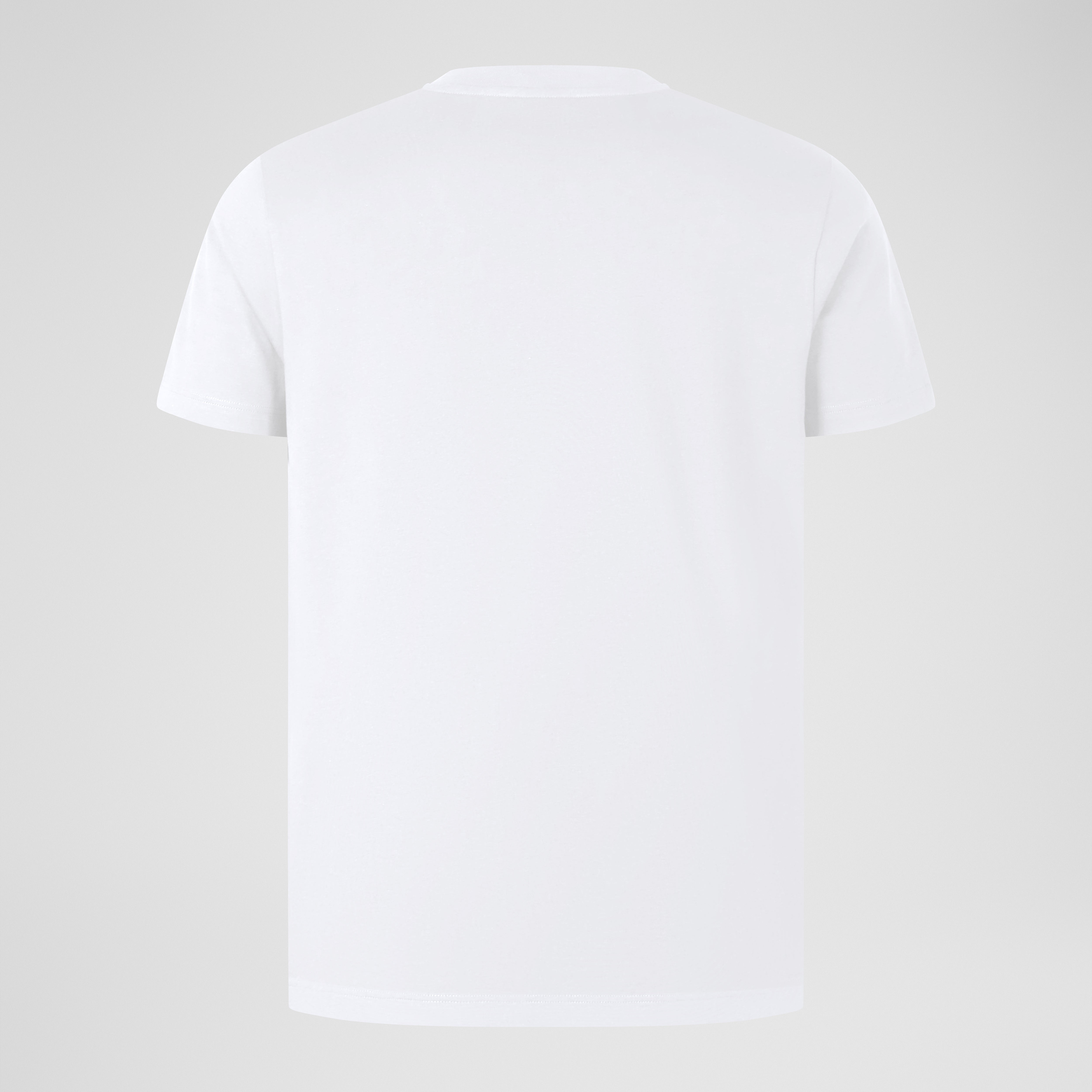 Mens CCC Cotton Logo Tee White | White | Canterbury