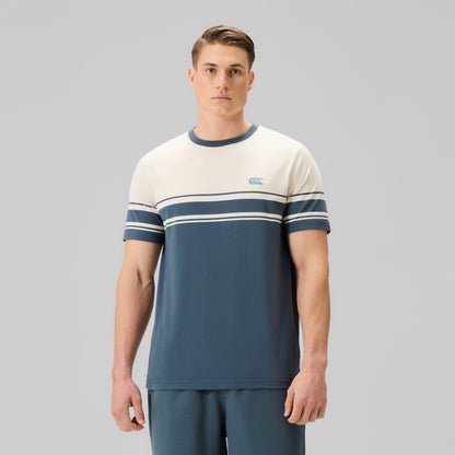 Mens Everyday Stripe Tee Grey