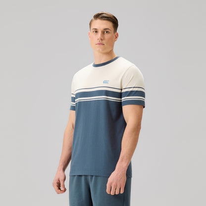 Mens Everyday Stripe Tee Grey