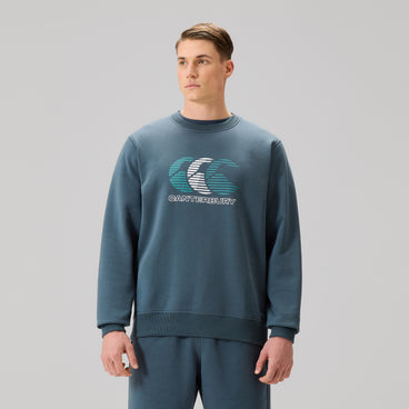 Mens Everyday Crew Sweatshirt Grey