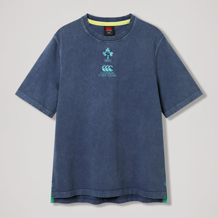 Men's Ireland Premium Washed T-Shirt Grey