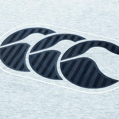 Womens Rakaia 2.0 Tee Grey