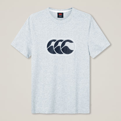 Mens Rakaia 2.0 Tee Grey