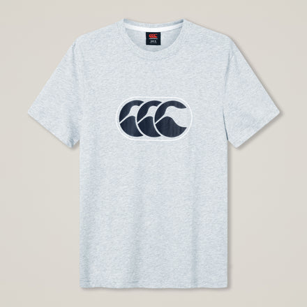 Mens Rakaia 2.0 Tee Grey