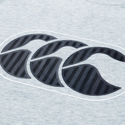 Mens Rakaia 2.0 Tee Grey