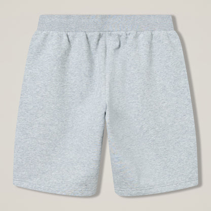 Mens Rakaia 2.0 Fleece Shorts Grey