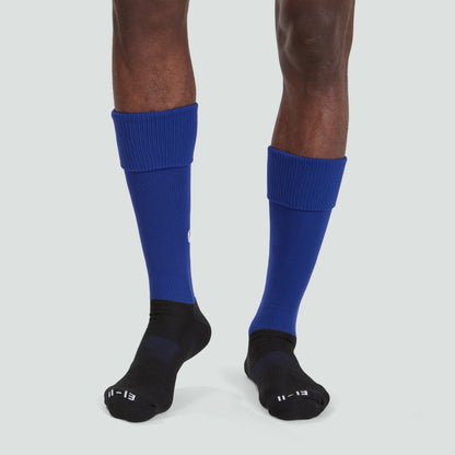 Playing Sock Blue